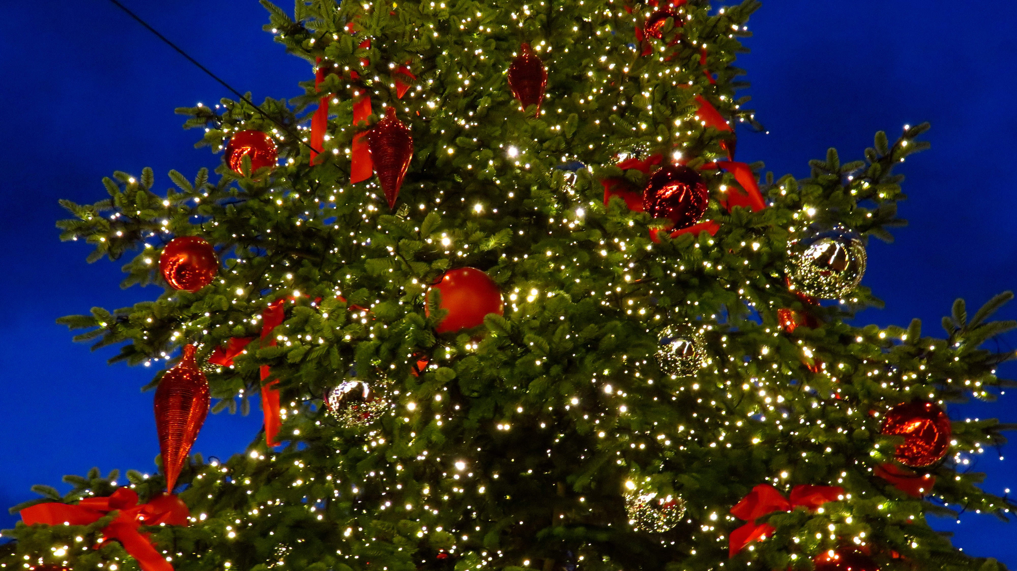 Slavnostní rozsvícení vánočního stromu na Pražském hradě