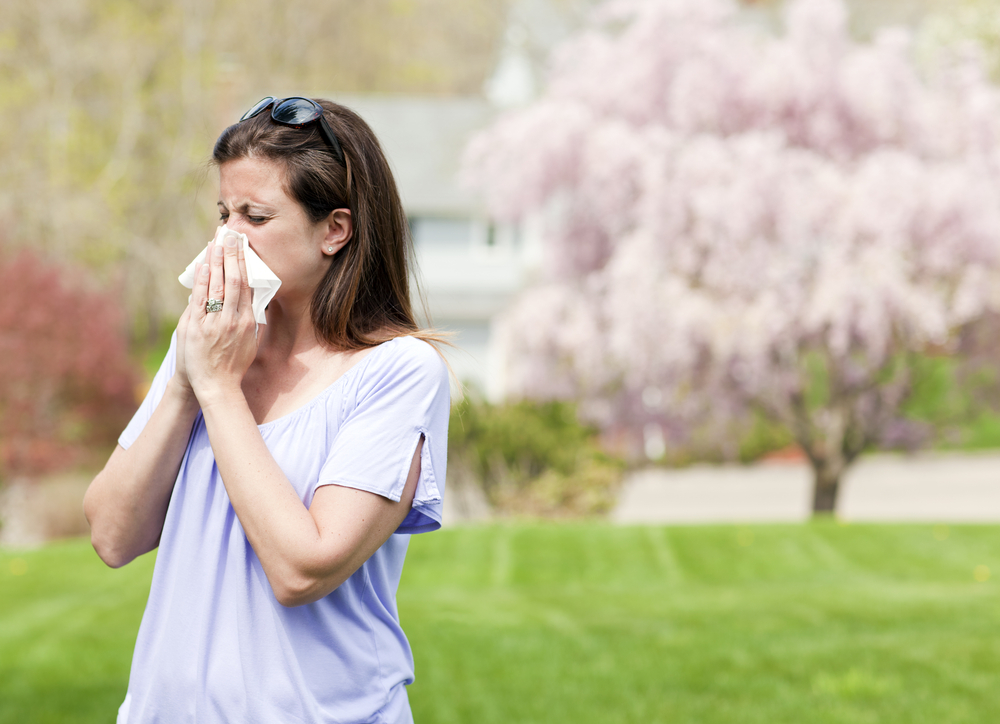 Jak přelstít alergeny?